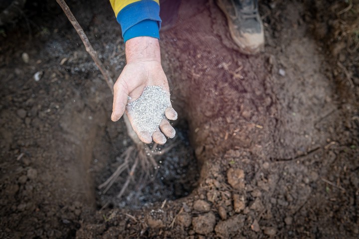 Nova zahrada - mykorhizne huby